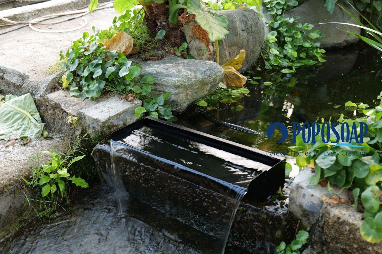 Blog Image 1