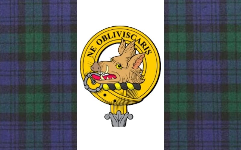 Blog Image 1