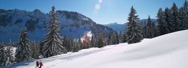 Enjoy Snow-Covered Trails with a Guided Winter Tour