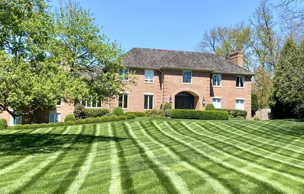 5 Key Benefits of Lawn Fertilizers You Should Know for a Healthier Yard