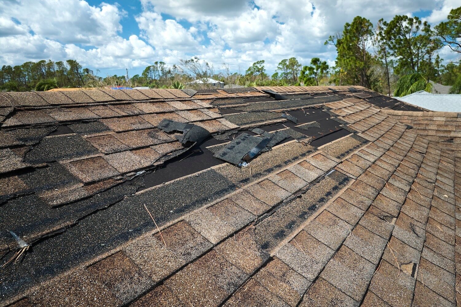 What Roof Types Are Best for Asheville, NC's Weather Conditions?