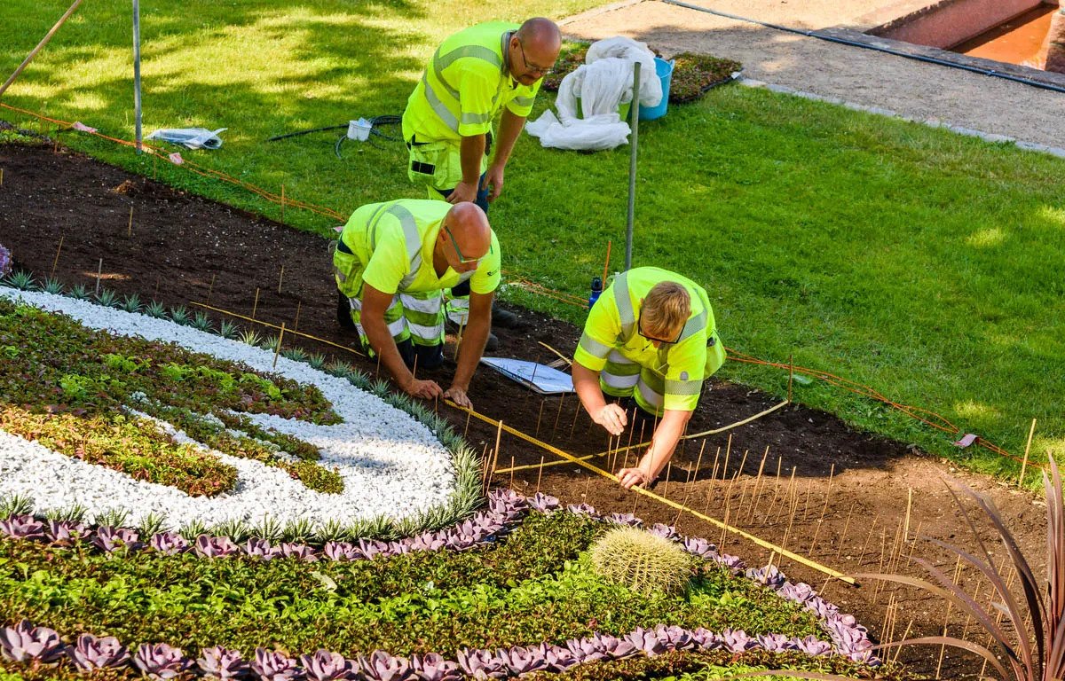 10 Amazing Services Only Top Landscaping Companies Offer